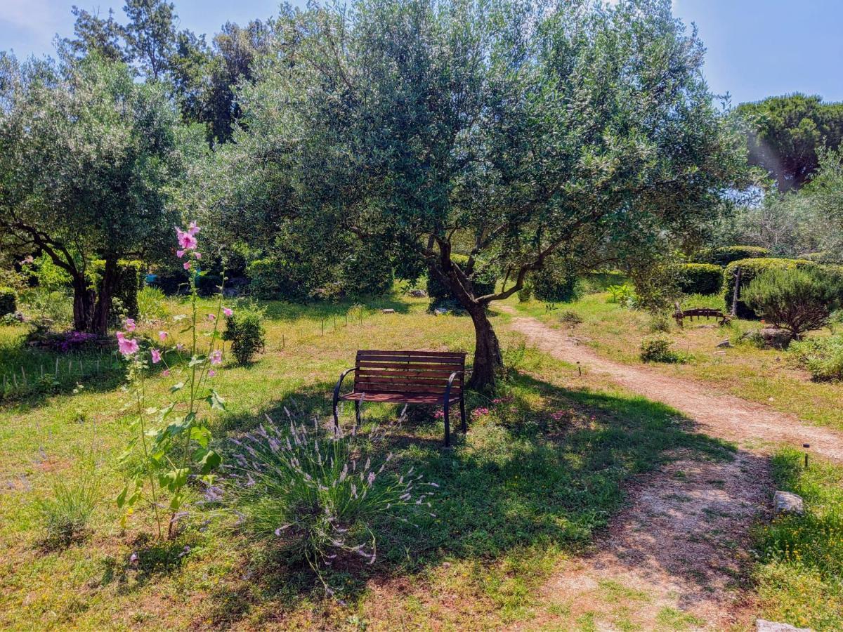 Apartment Rosa 2 Rovinj Zewnętrze zdjęcie